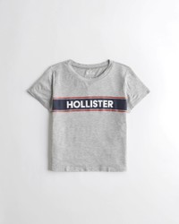 Серая футболка - женская футболка Hollister, M, M