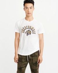 Белая футболка - мужская футболка Abercrombie & Fitch, XL, XL