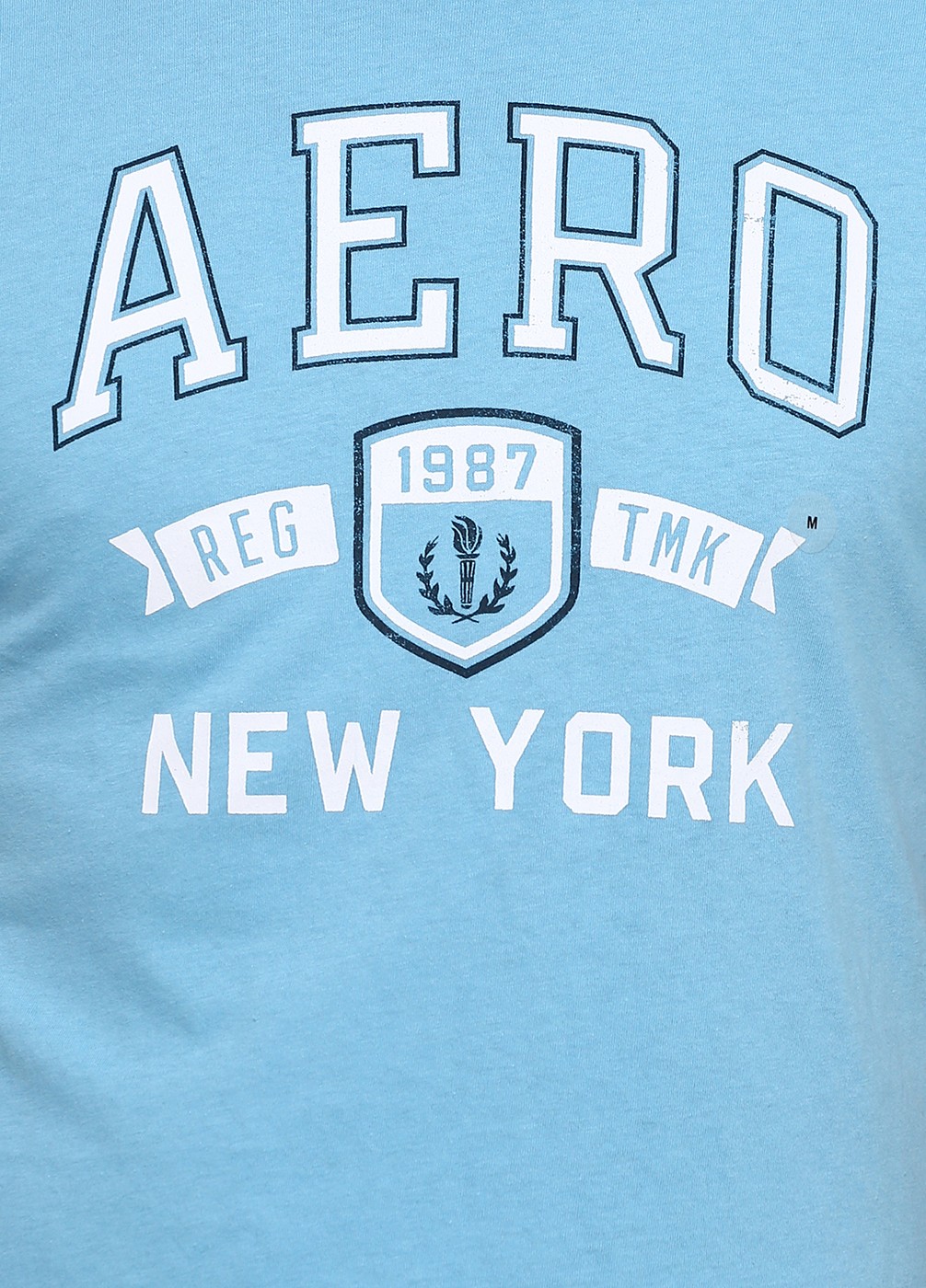 Голубая футболка - мужская футболка Aeropostale, L, L