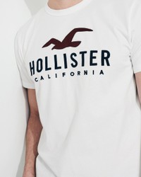Белая футболка - мужская футболка Hollister, L, L